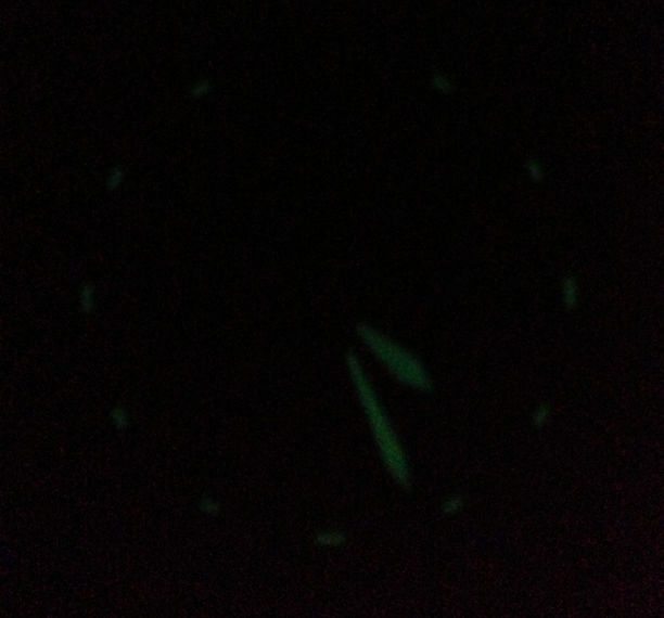 Bulova 96A101 Luminescence